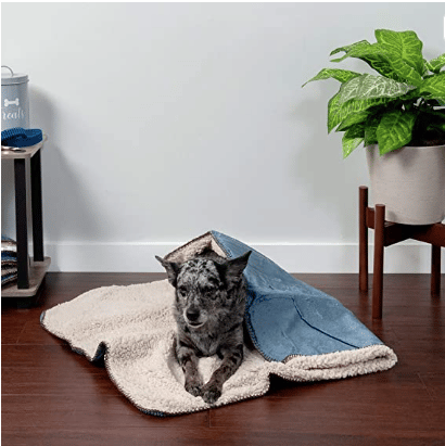 Self-warming dog blanket