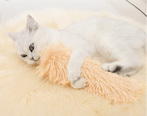 Fuzzy Tail Crinkle Cat Pillow
