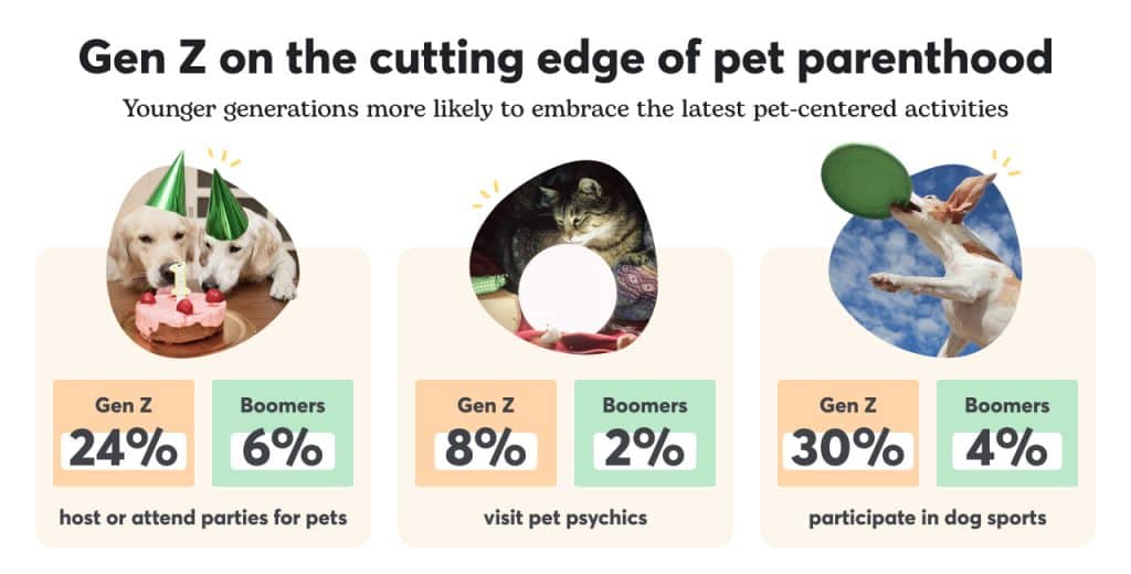 Graphic showing popular gen z pet activities