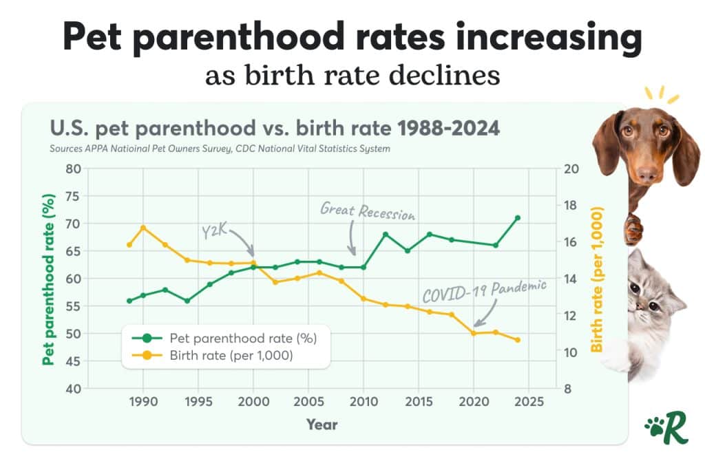 Chart showing rising rates of pet parenthood and declining birthrate in the US