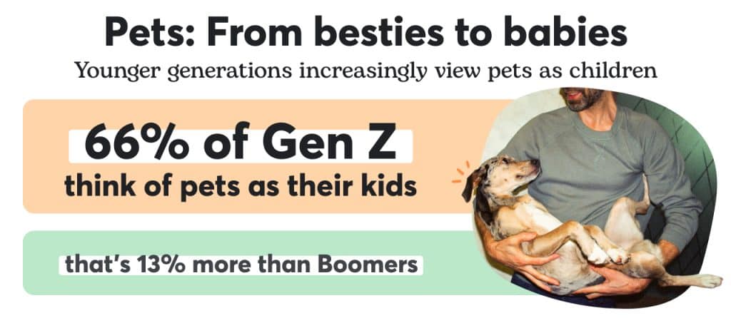 A graphic showing that 66% of Gen Z thinks of their pets as kids