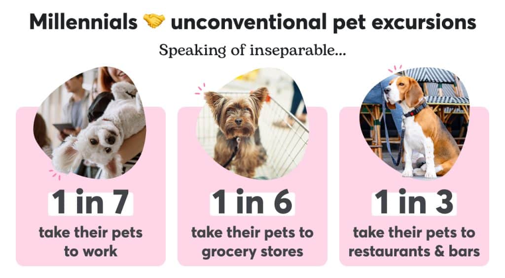 Graphic showing places millennials take their pets