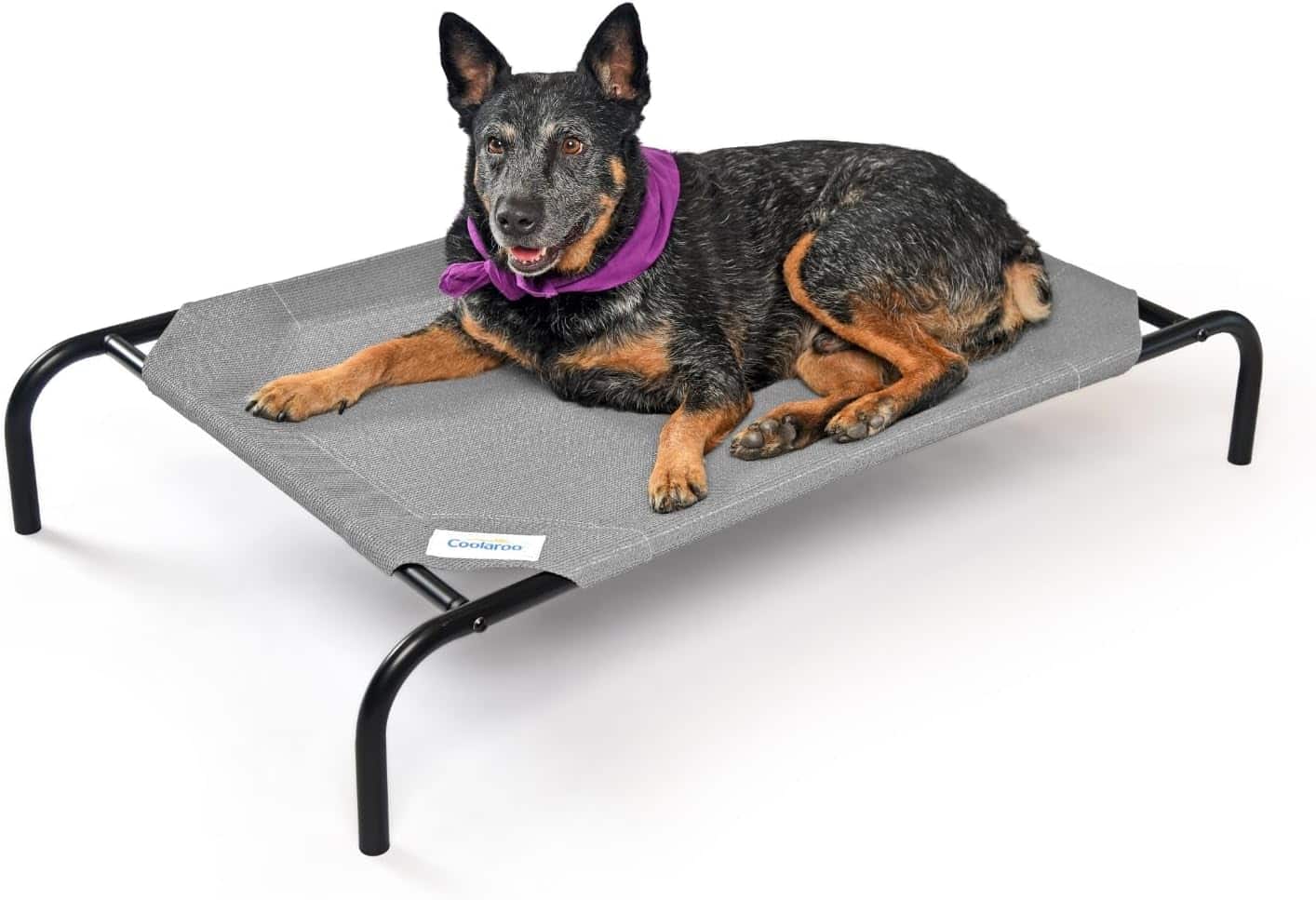 Coolaroo Elevated Dog Bed