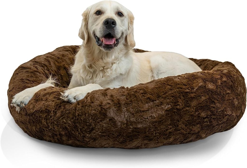 The 9 Best Dog Beds for Golden Retrievers