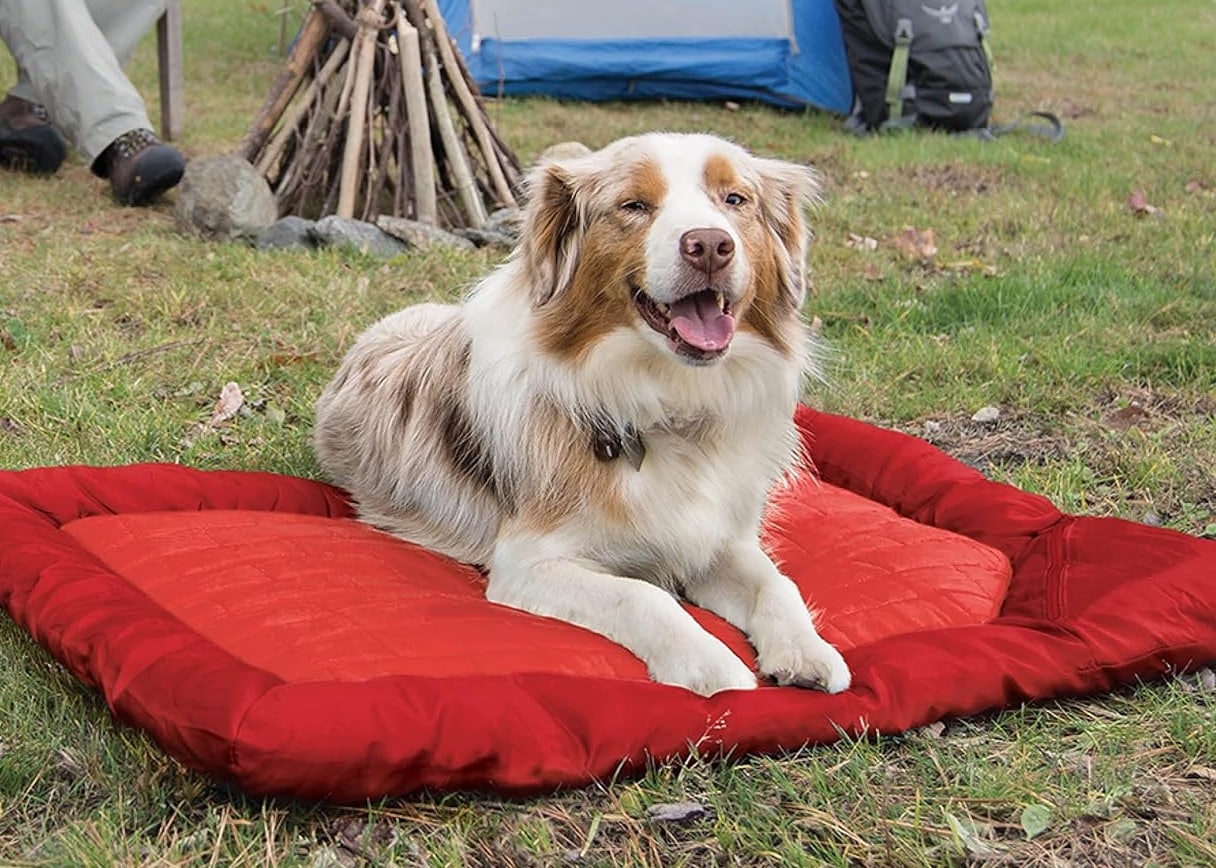 Kurgo Loft Wander Pillow Dog Bed