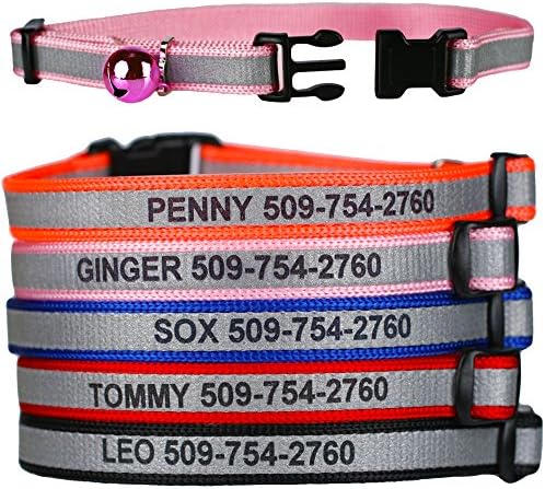 assortment of personalized cat collars