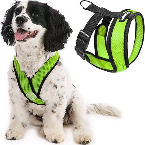 Gooby Comfort X Harness for Small Dogs