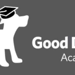 Good Dog Academy for dog training