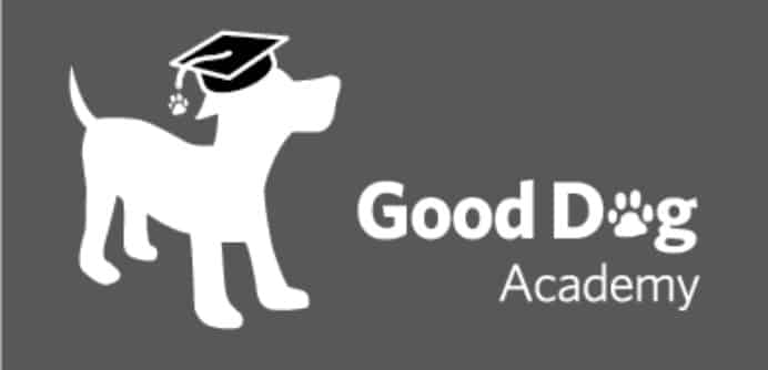 Good Dog Academy for dog training
