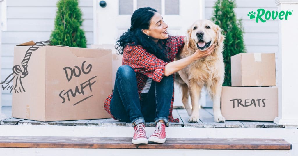 The Fastest Growing DogFriendly Cities in the US in the US