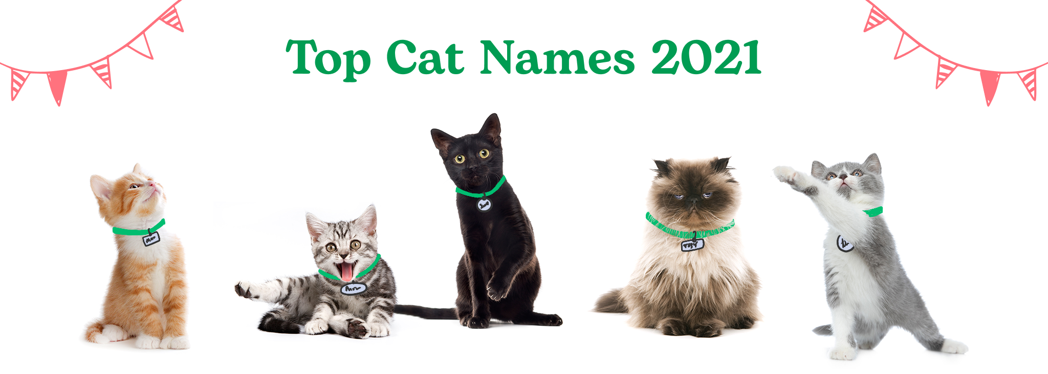 A variety of cats playing on a white background with "Top Cat Names 2021" in Rover green text.