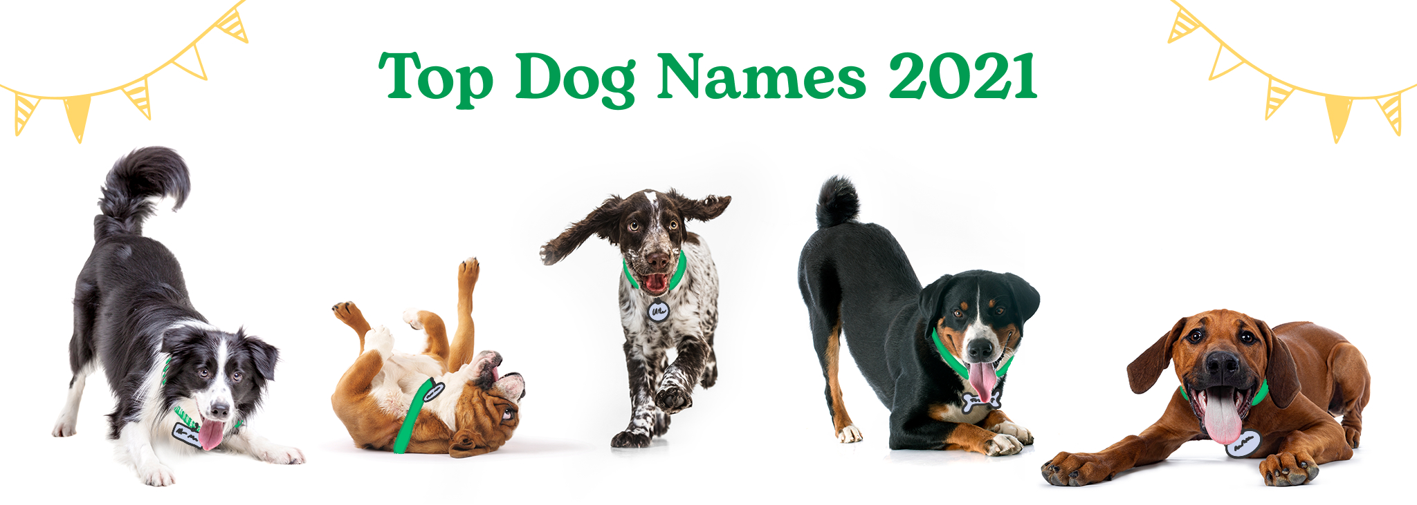 The Most Popular Dog Names of 2021
