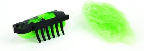 Black and neon green electronic cat toy bug.