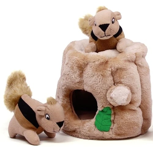 Outward Hound Hide-a-Squirrel dog toy for Maltese