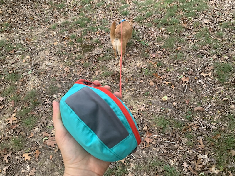 Lab mix sniffing in park while attached to a rolled up Ruffwear Hitch Hiker Leash and stow bag. 