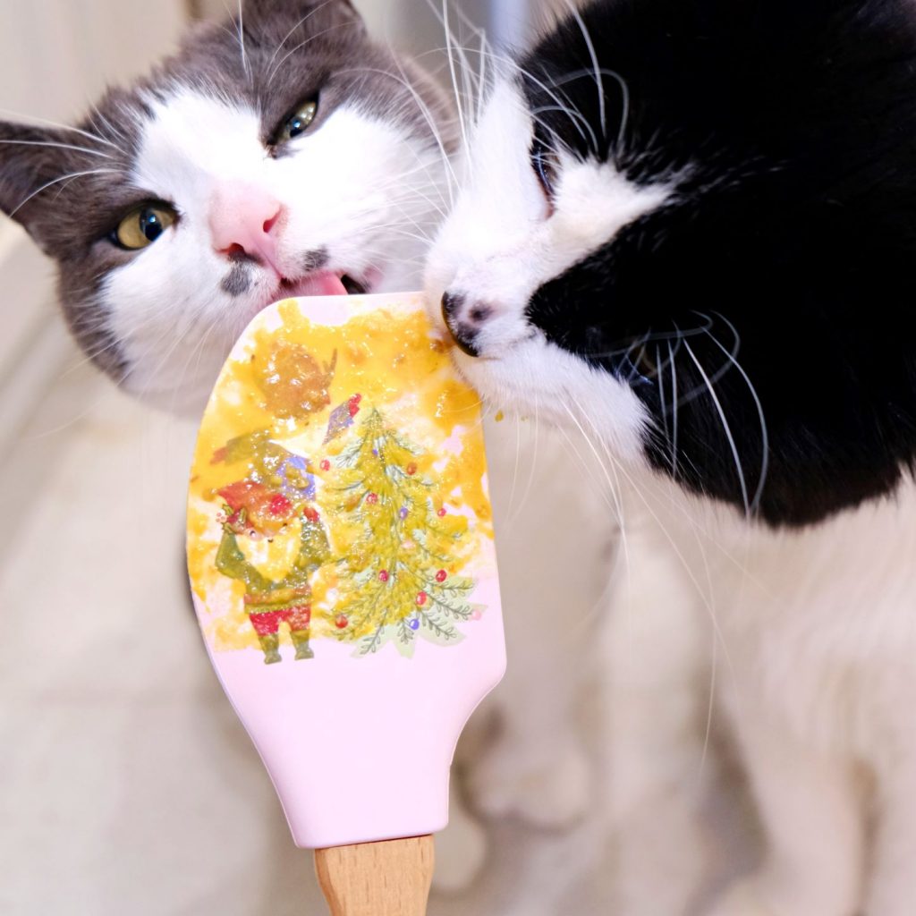 Cats licking holiday spatula