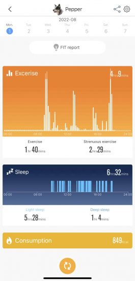 Pepper's activity as presented by the Petkit P2 dog activity tracker app