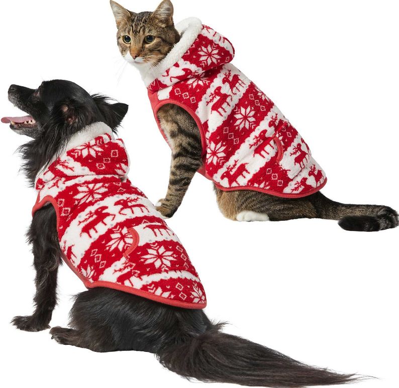 dog and cat in red-and-white Holiday sweaters