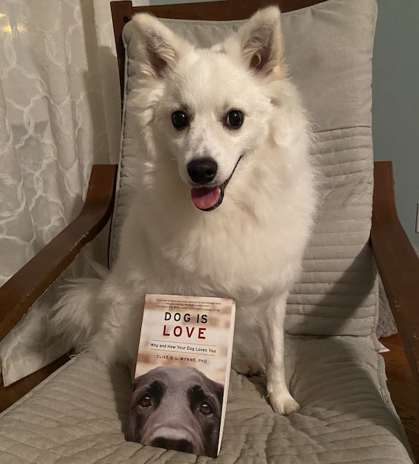 Dog sits on chair with book titled "Dog is Love"