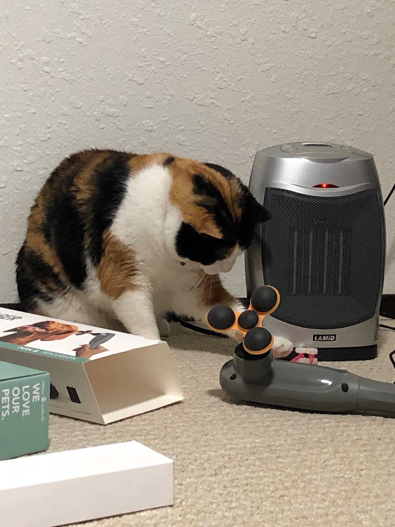 Cat Massagers Do They Work, and Can They Really Help Your Kitty?