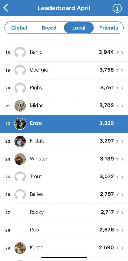 Activity leaderboard showing where Enzo ranks locally on the Tractive app