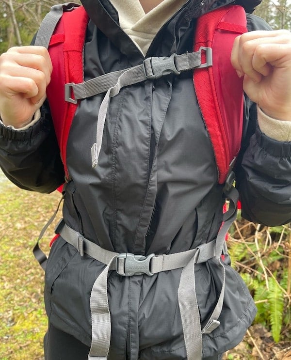Front view of a person's torso wearing the Kurgo dog hiking backpack