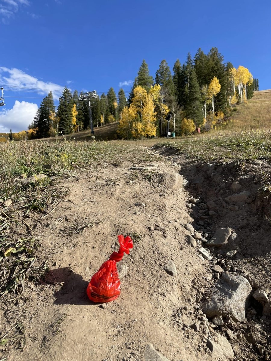 Dog poop bag on trail