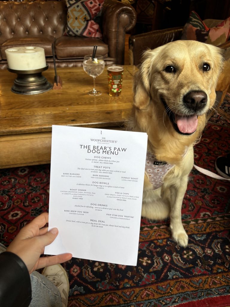 Dog looking impressed with The Bear Paw pub's dog menu