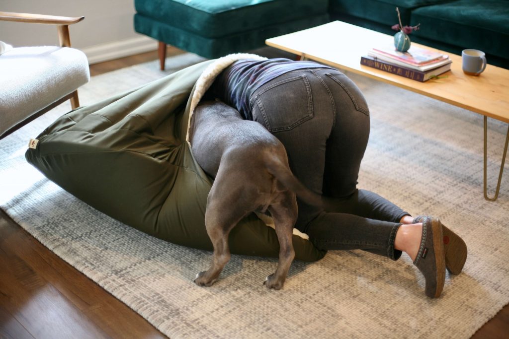 A person showing a dog how to get inside a cozy cave bed