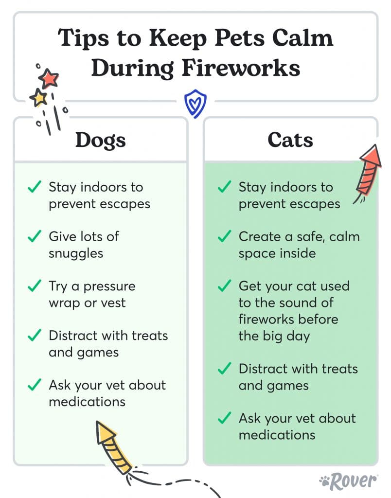 Tips for keeping pets calm during fireworks inforgraphic