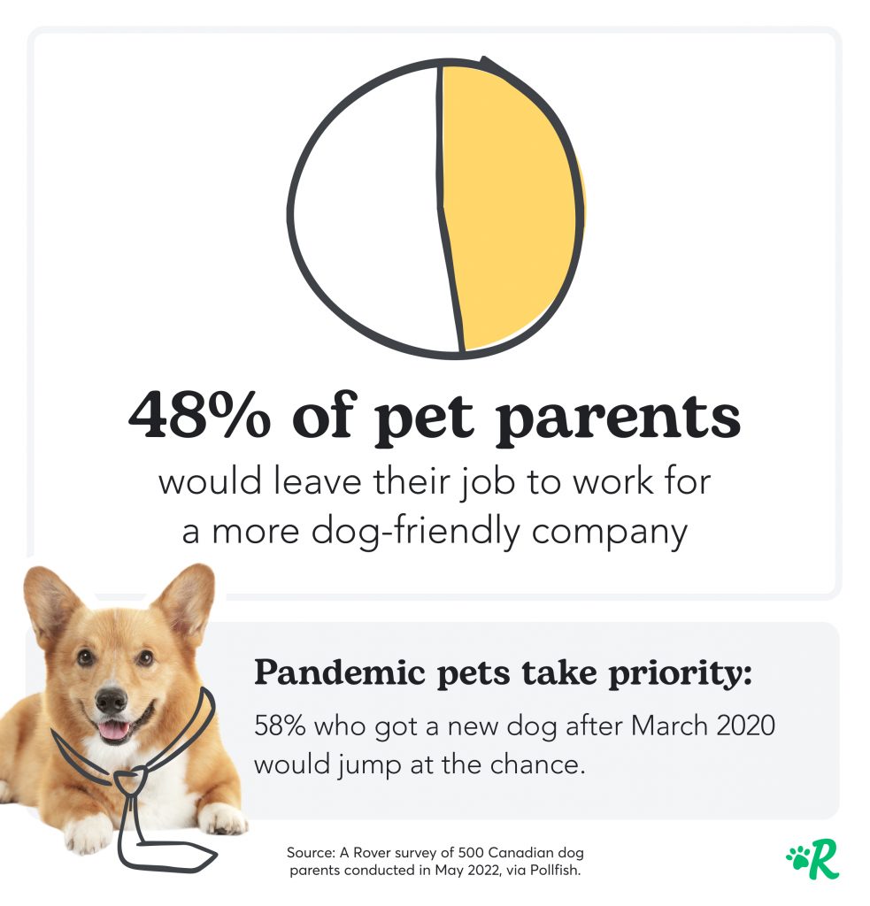 A pie chart showing that 48% of pet parents would leave their job to work for a more dog-friendly company