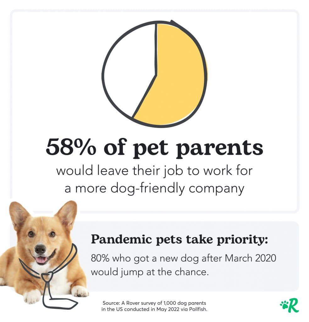 A yellow pie chart showing that 58% of pet parents would leave their job to work for a more dog-friendly company