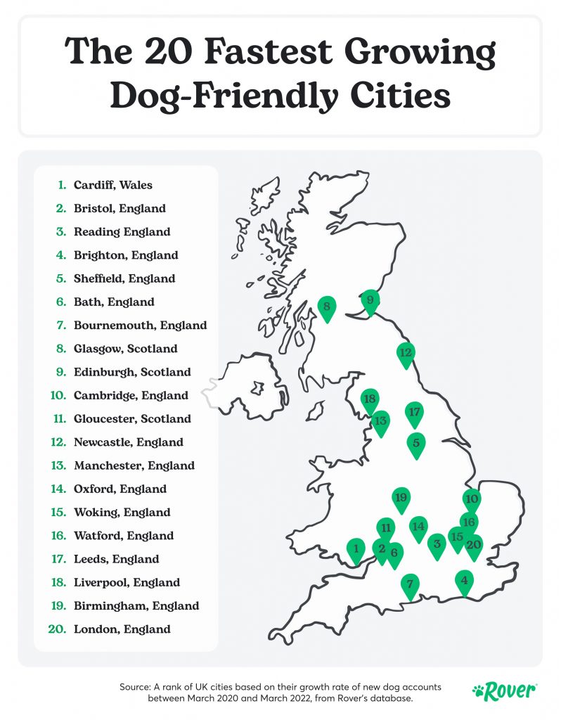 The top 20 fastest growing dog-friendly cities in the UK