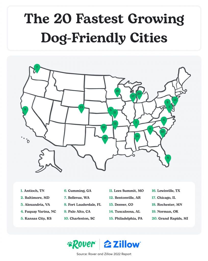 The top 20 fastest growing dog-friendly cities