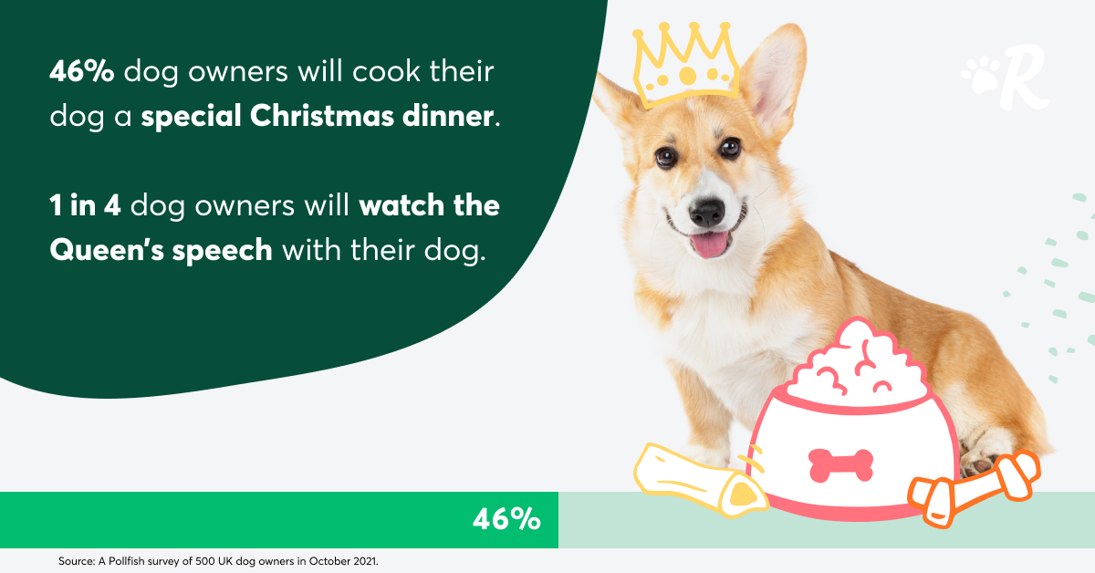 A corgi wearing a crown on a green and gray background