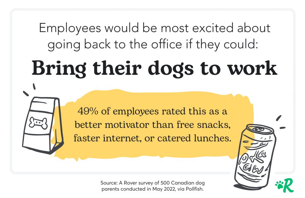 The #1 benefit employees want is to bring their dogs to work