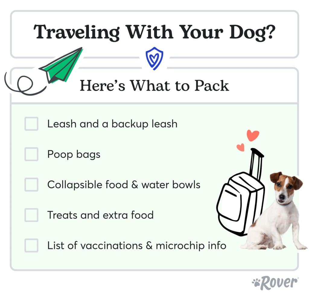 How to Safety Travel with Pets