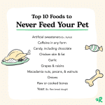 Picture of What to Do When Your Dog or Cat Eats Something They Shouldn't