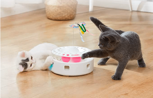 Interactive Cat Track Toy
