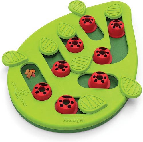 Green and red bug-themed cat puzzle. 