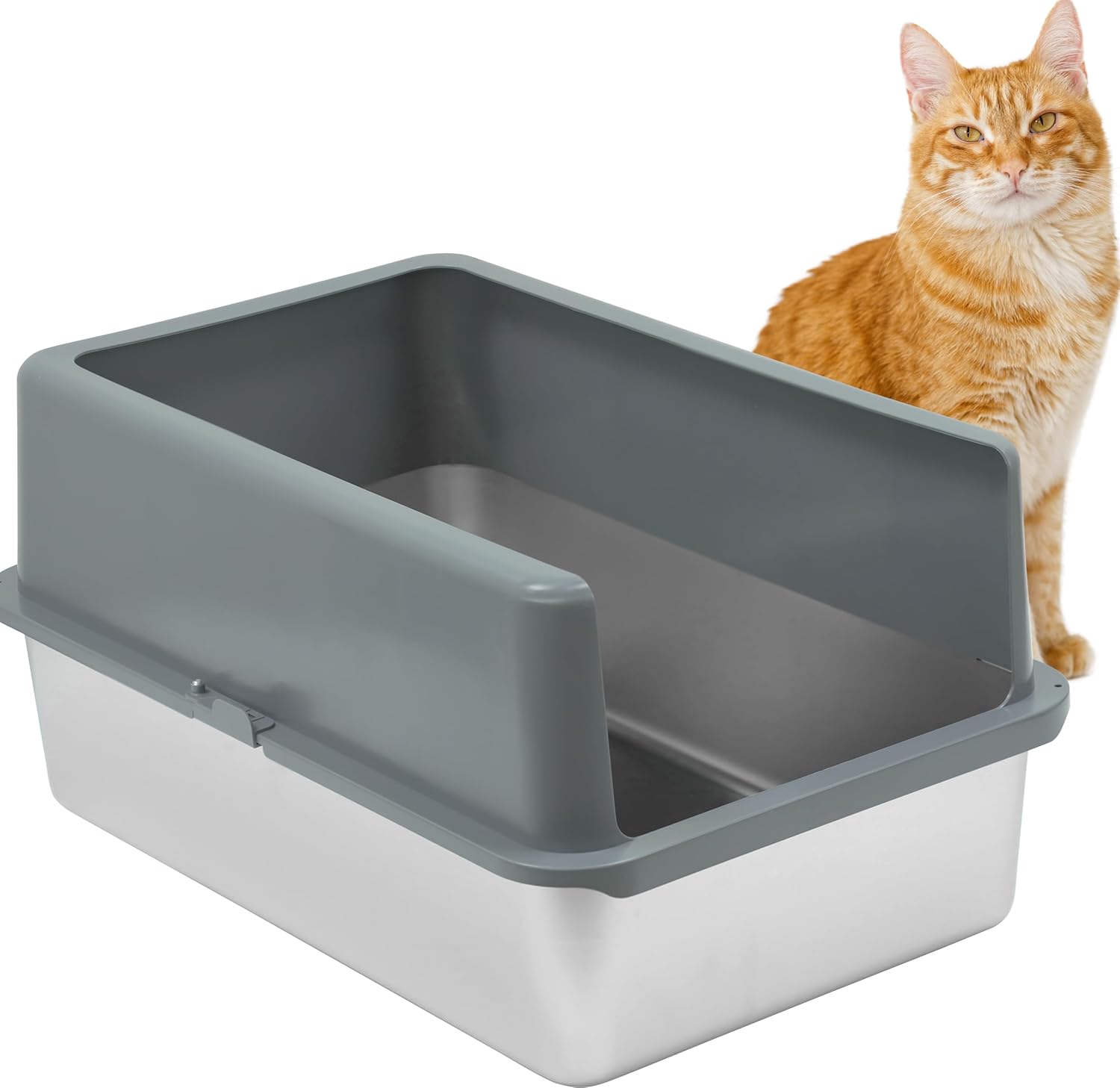orange cat sitting next to stainless steel litter pan