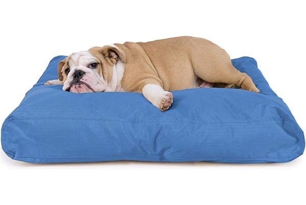 Bulldog sprawled on blue outdoor dog bed