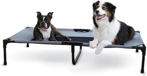 Two dog sitting on a blue and black elevated dog bed. 