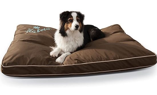 dog on brown rectangular outdoor bed