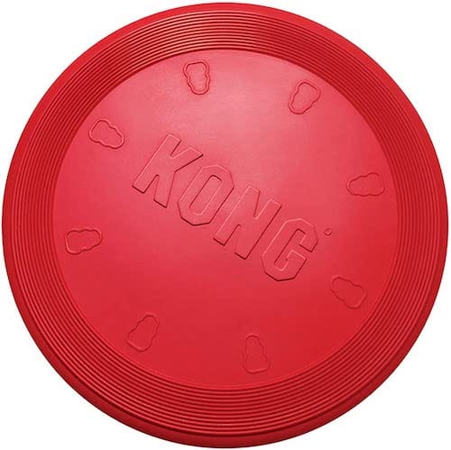KONG red frisbee