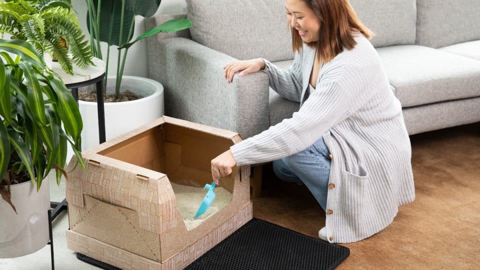 Woman kneels by cardboard litter box