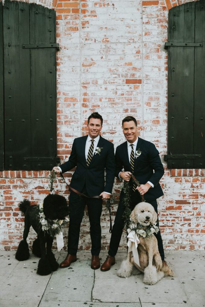 Two grooms posing on their wedding day with their poodles.