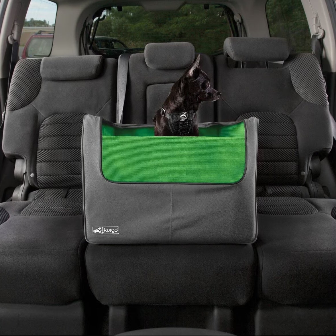 The 10 Best Dog Car Seats and Harnesses for Safe Travels