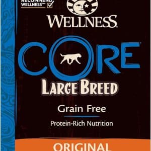 wellness core large breed dog food