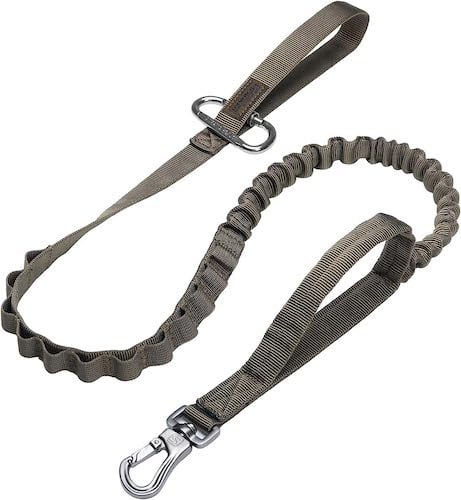 A grey-green shock absorbing dog leash. 